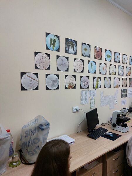 Файл:Photo 2025-04-11 13-22-02 (2).jpg