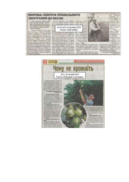 Файл:ШевчукСтатті25.pdf