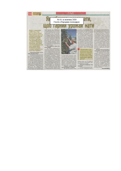 Файл:ШевчукСтатті25.pdf