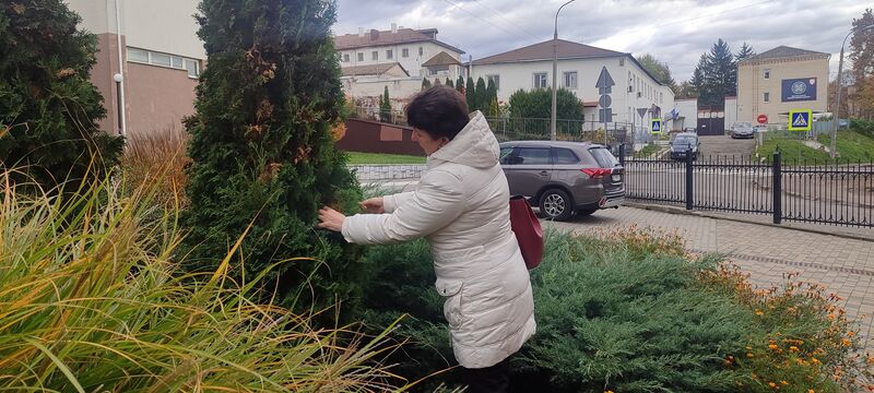 Файл:571271205 1891190445161667 4568860946744346968 n.jpg