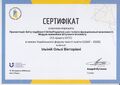 Сертифікат, 2025 (доцент Ільїна О.В.)