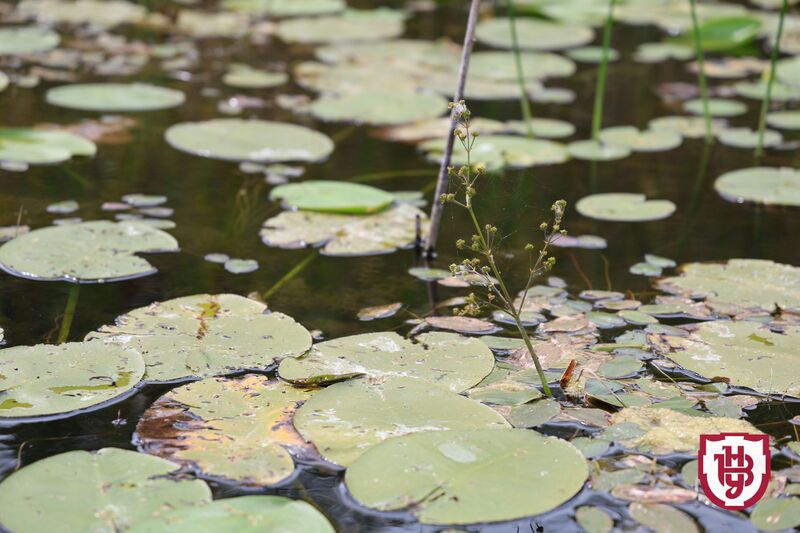 Файл:4096-2731-max-74 1.jpg