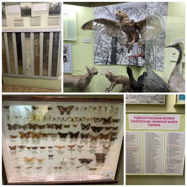 Файл:Fotoram.io (83).jpg